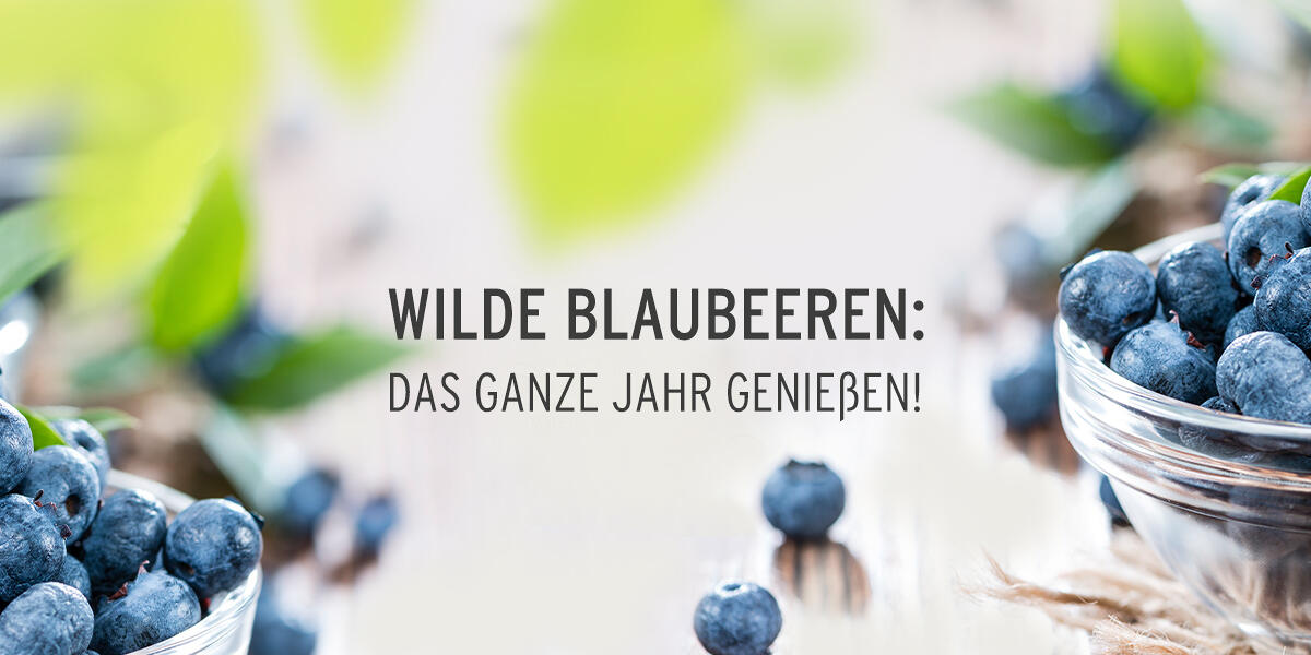 Wilde Blaubeeren liegen in einer Glasschale und auf einem hellen Holztisch. Daneben steht der Text Wilde Blaubeeren: Das ganze Jahr genießen!. Einige Beeren liegen lose verstreut.
