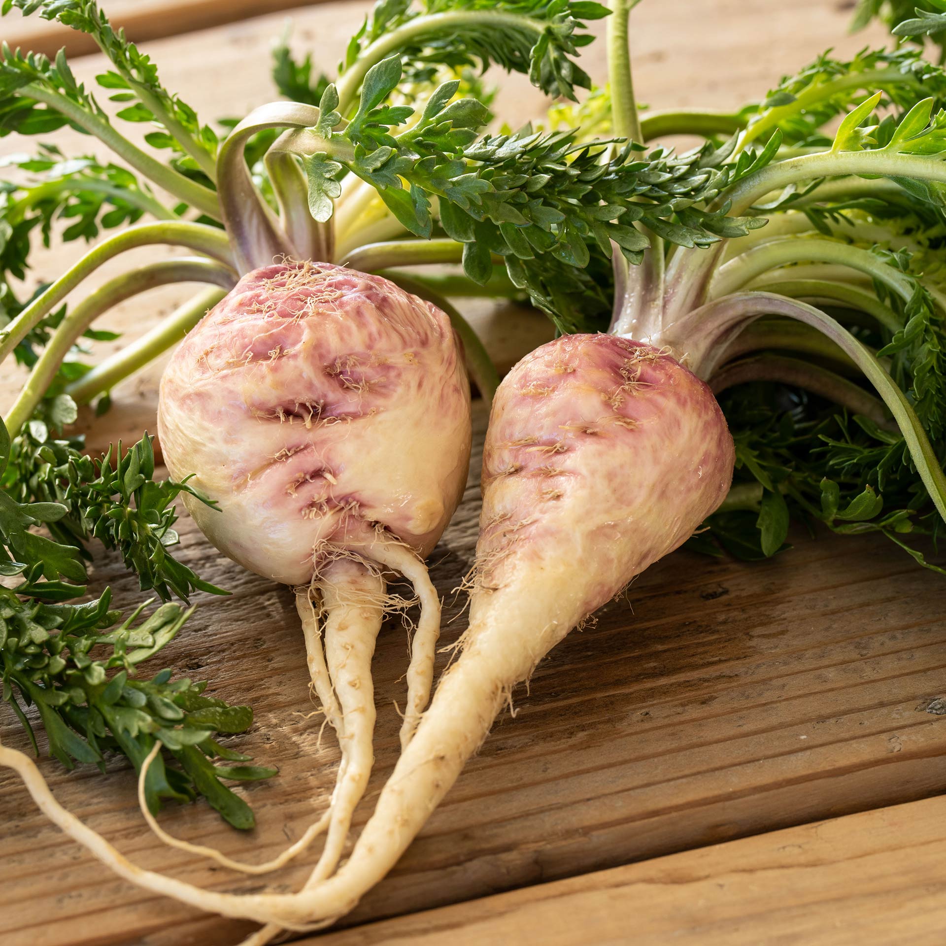 Maca Pulver, bio 200 g