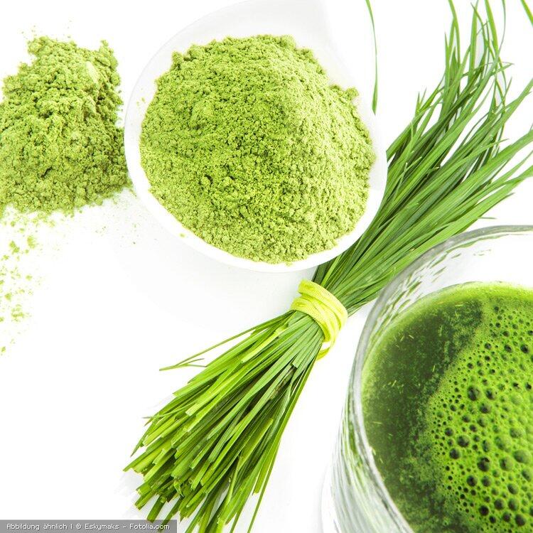 Bio-Gerste und Gerstengraspulver Bio-Gerste und Gerstengraspulver