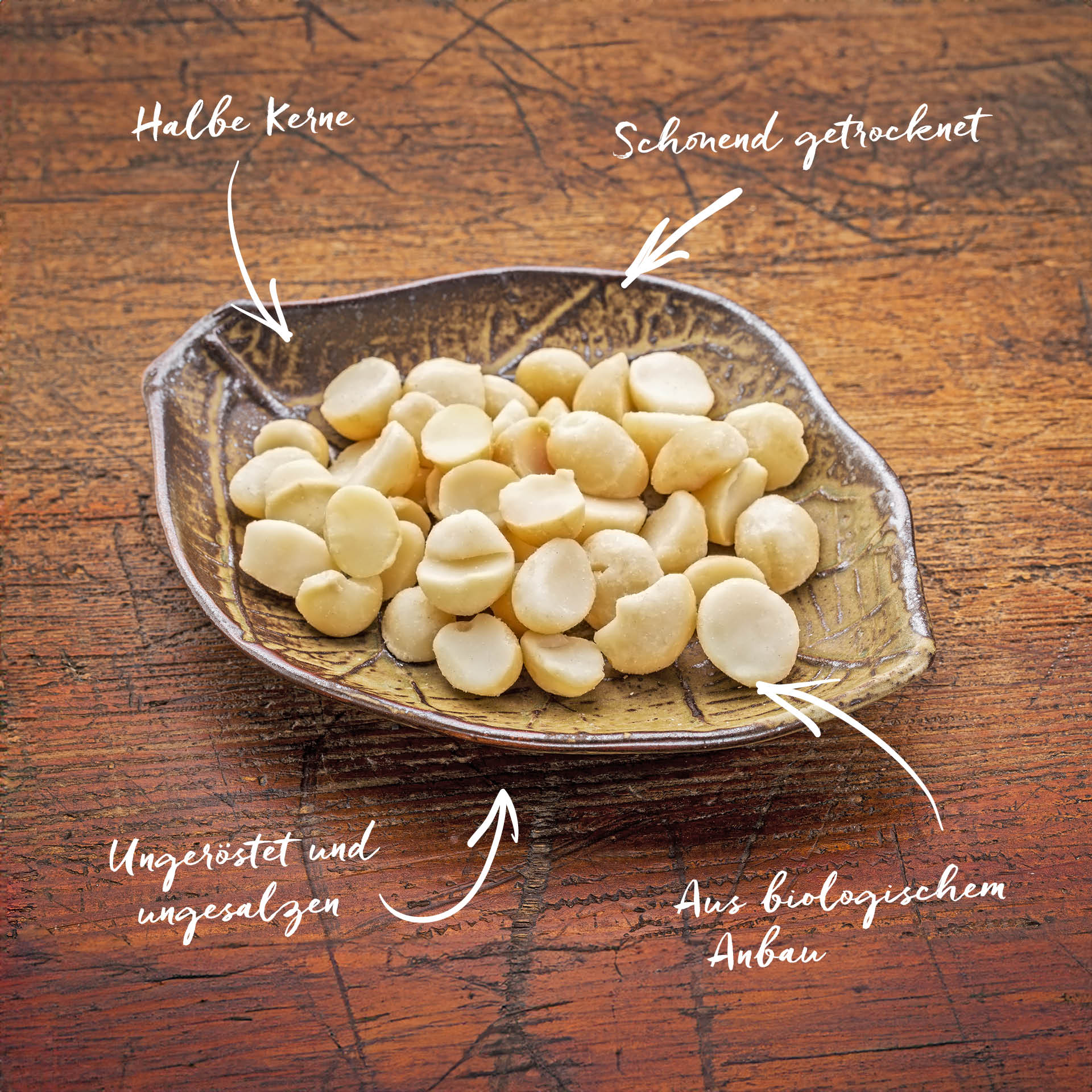 Halbierte Macadamianüsse liegen auf einem dekorativen Teller auf einem Holztisch. Pfeile zeigen auf die Nüsse mit den Beschriftungen: Halbe Kerne, Schonend getrocknet, Ungeröstet und ungesalzen und Aus biologischem Anbau.