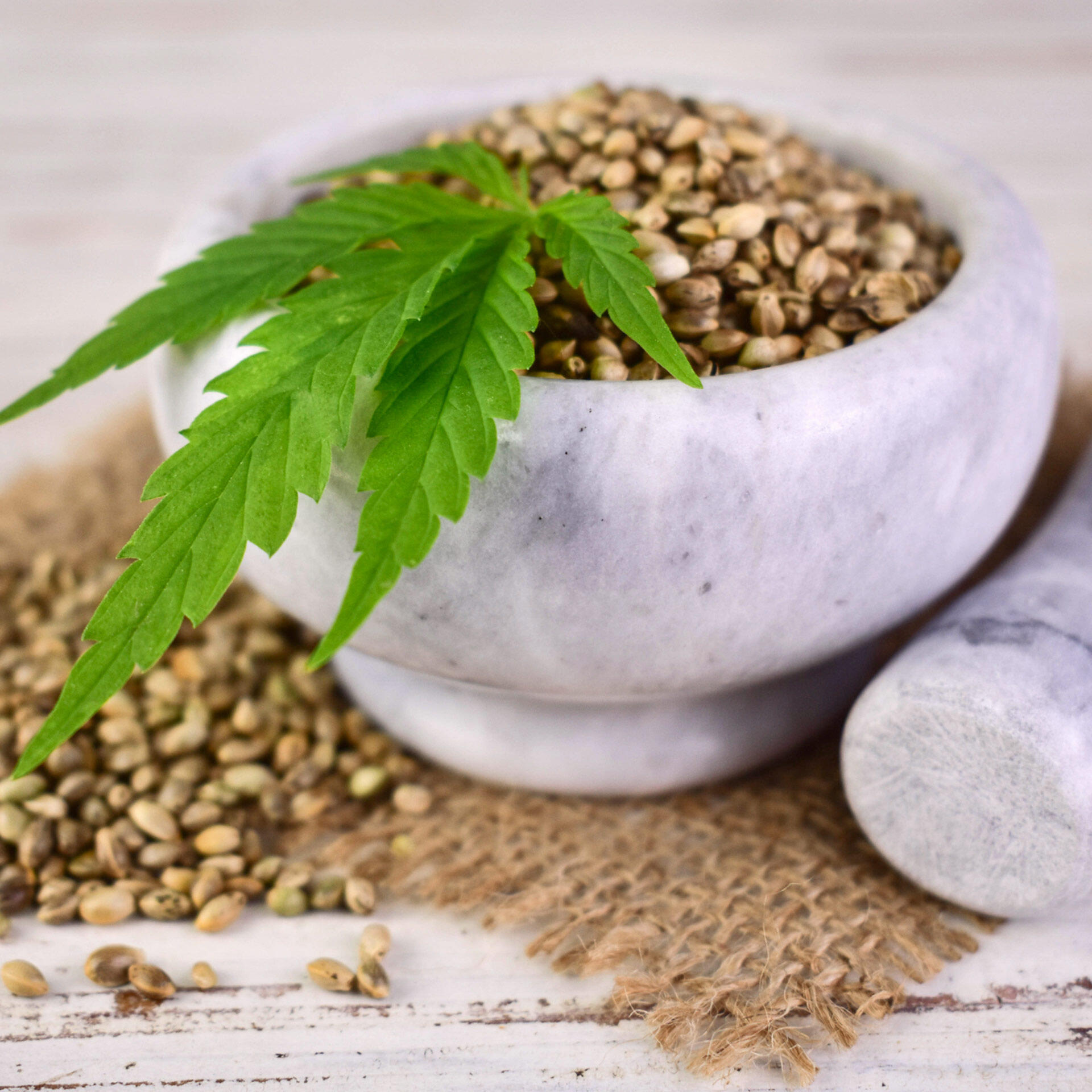 Hanfprotein Pulver, bio 200 g