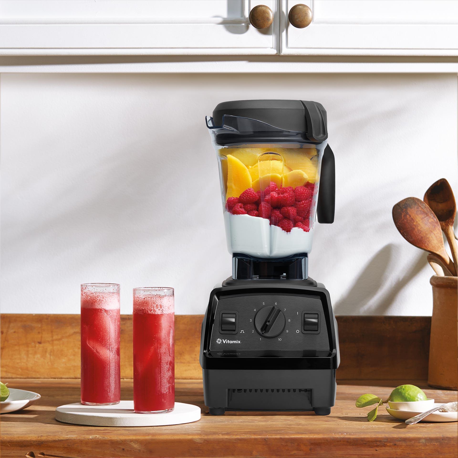 Vitamix Explorian E320 schwarz