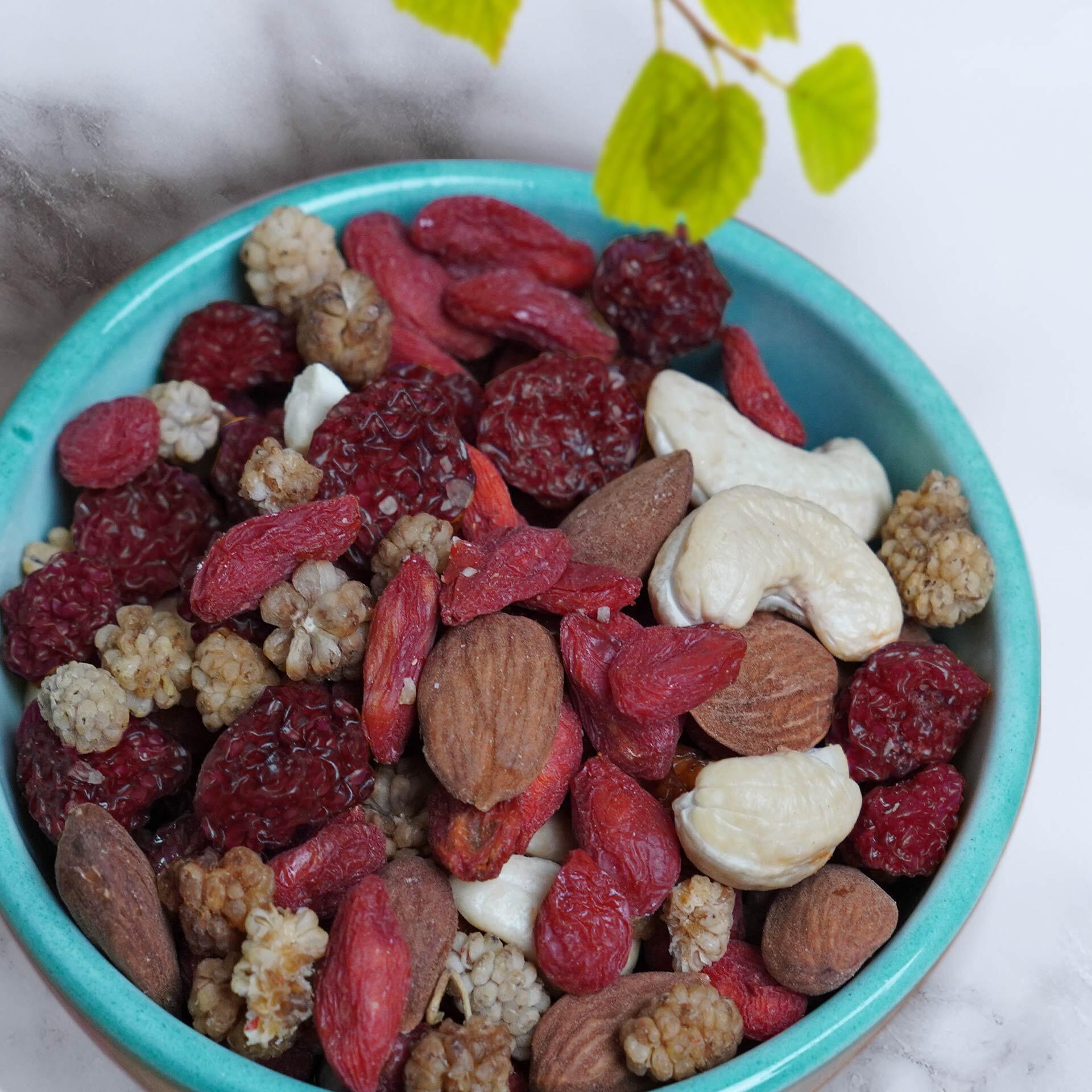 Keimling Mix Goji-Vital 200 g