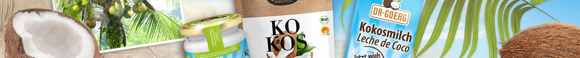Eine halbe Kokosnuss, ein Glas Kokosöl mit grünem Etikett, eine Packung Bio-Kokosmilch mit dem Schriftzug KOKOS und eine blaue Flasche Dr. Goerg Kokosmilch stehen nebeneinander.