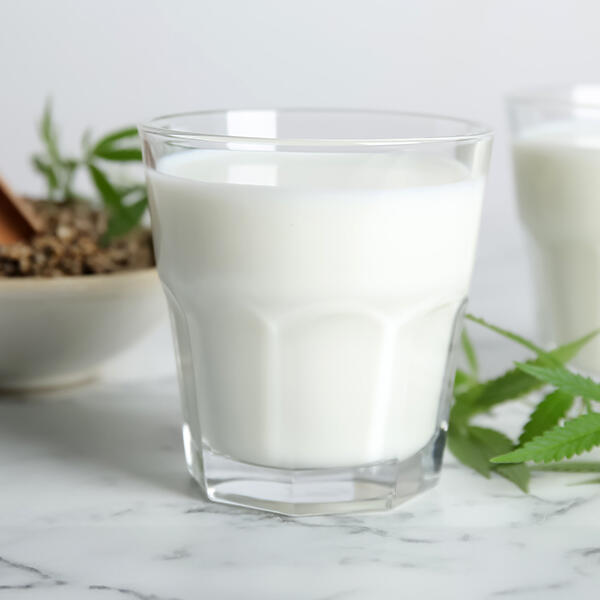 Hanfsamen-Beauty-Drink, roh-vegan von Peter Dreverhoff und Ulrike Martwich Ein Glas mit weißem Hanfsamen-Beauty-Drink steht auf einer Marmoroberfläche. Im Hintergrund ist eine weitere Glasfüllung und grüne Hanfpflanzenblätter zu sehen.