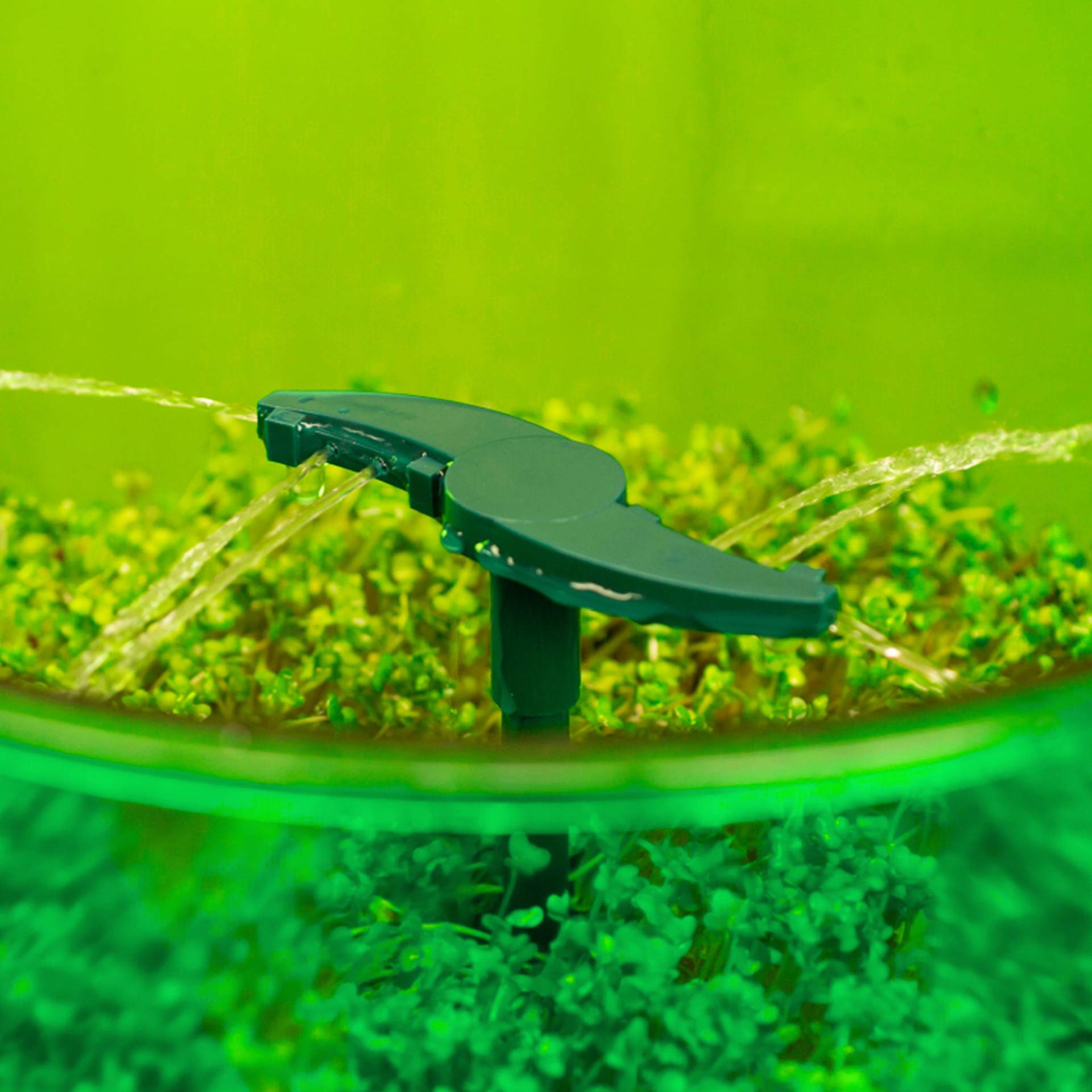 Freshlife Keimgerät Freshlife Keimgerät