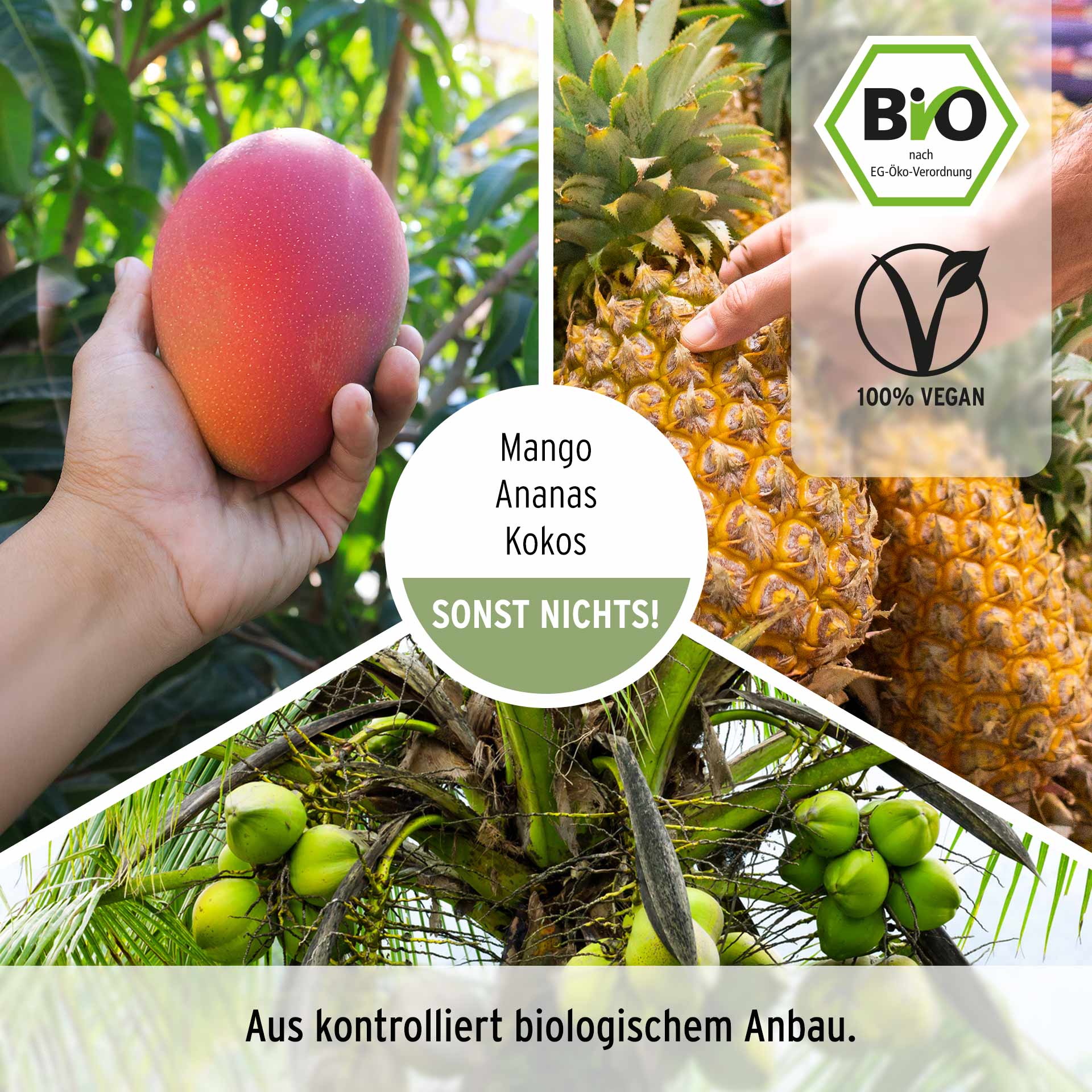 Raw Paradiso Snack Mango-Ananas, bio 200 g