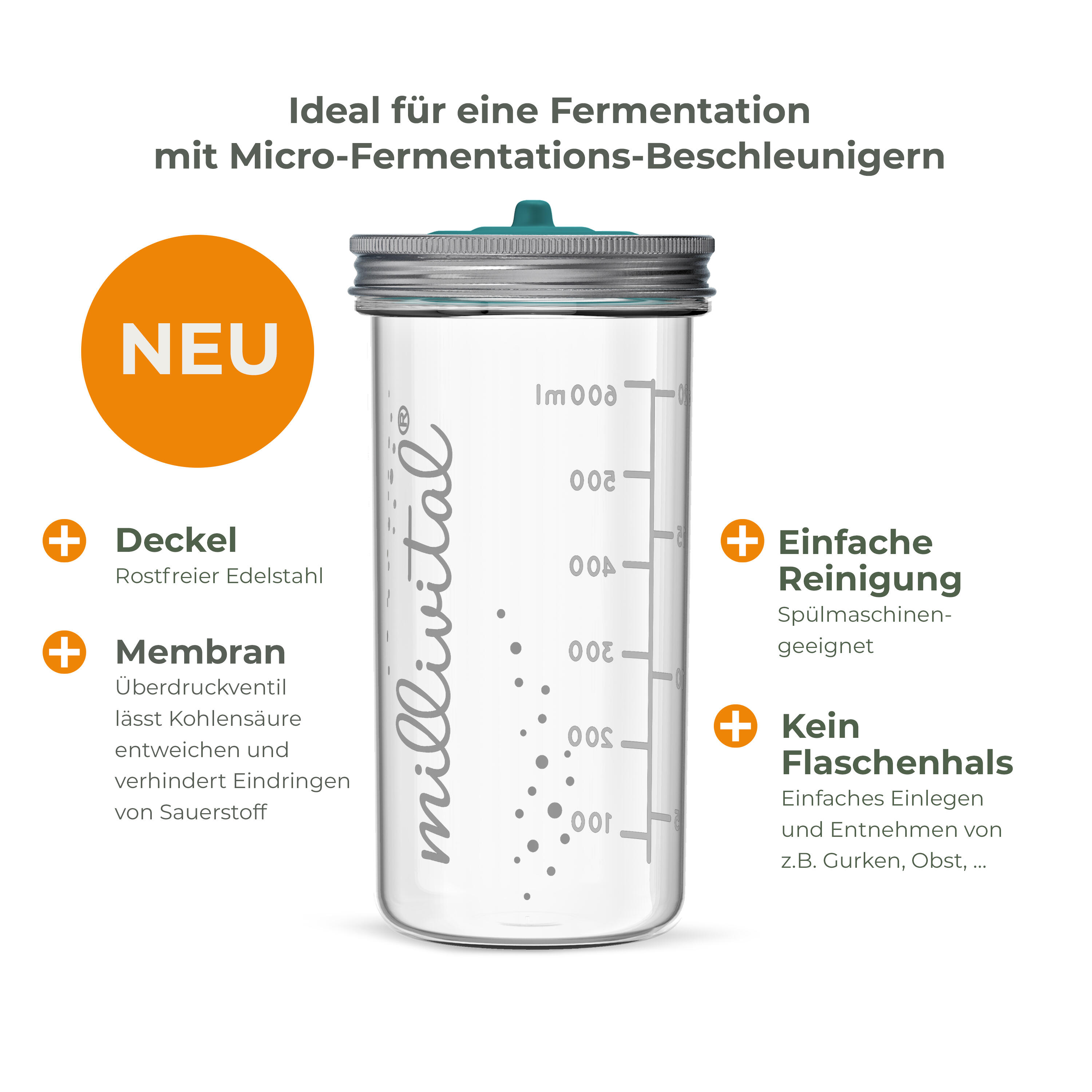 Millivital Starterset Micro-Fermentation mit Bio Fermentations-Beschleuniger