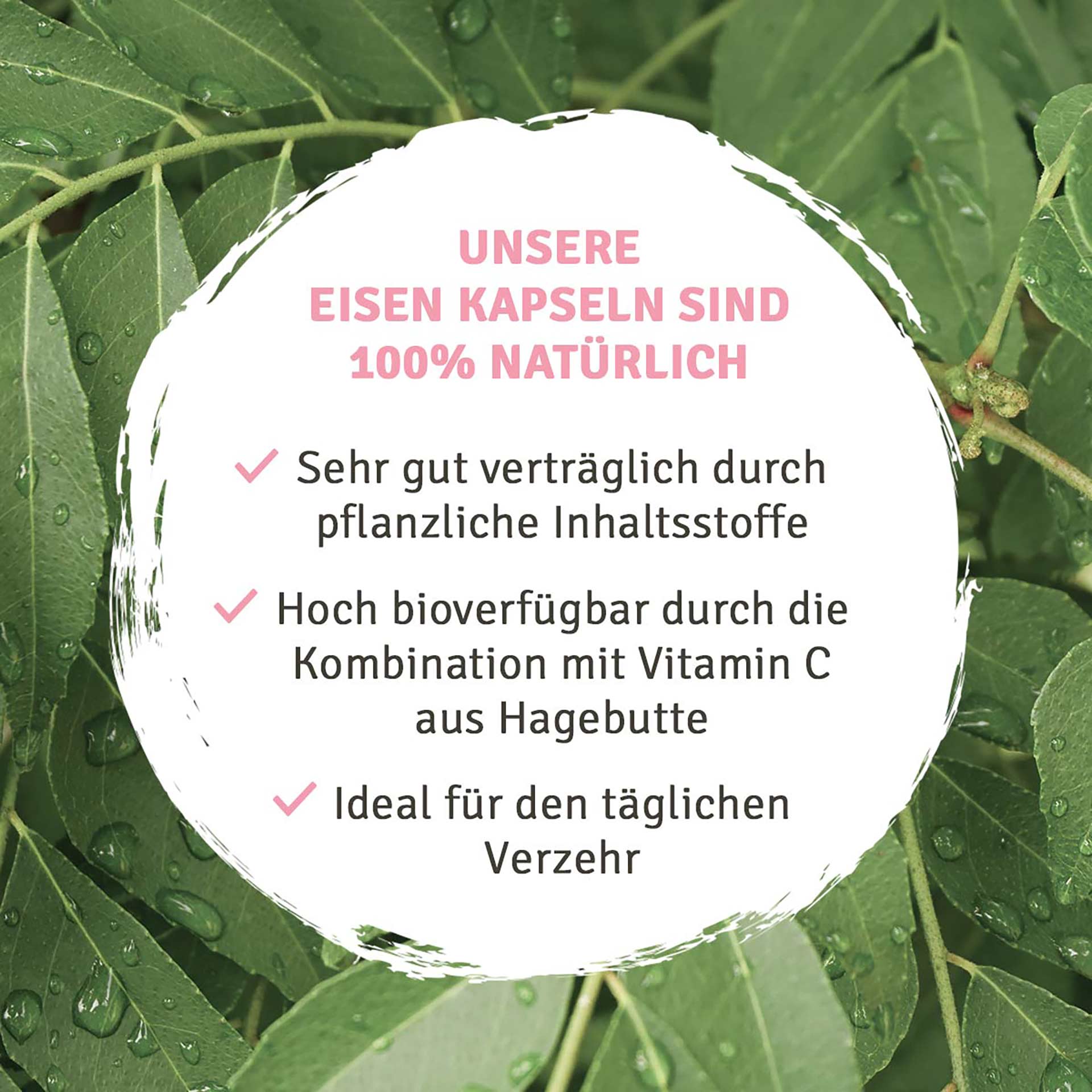Innonature Eisen + Vit. C Kapseln, 120 Tabl.94.4 g Innonature Eisen + Vit. C Kapseln, 120 Tabl.94.4 g