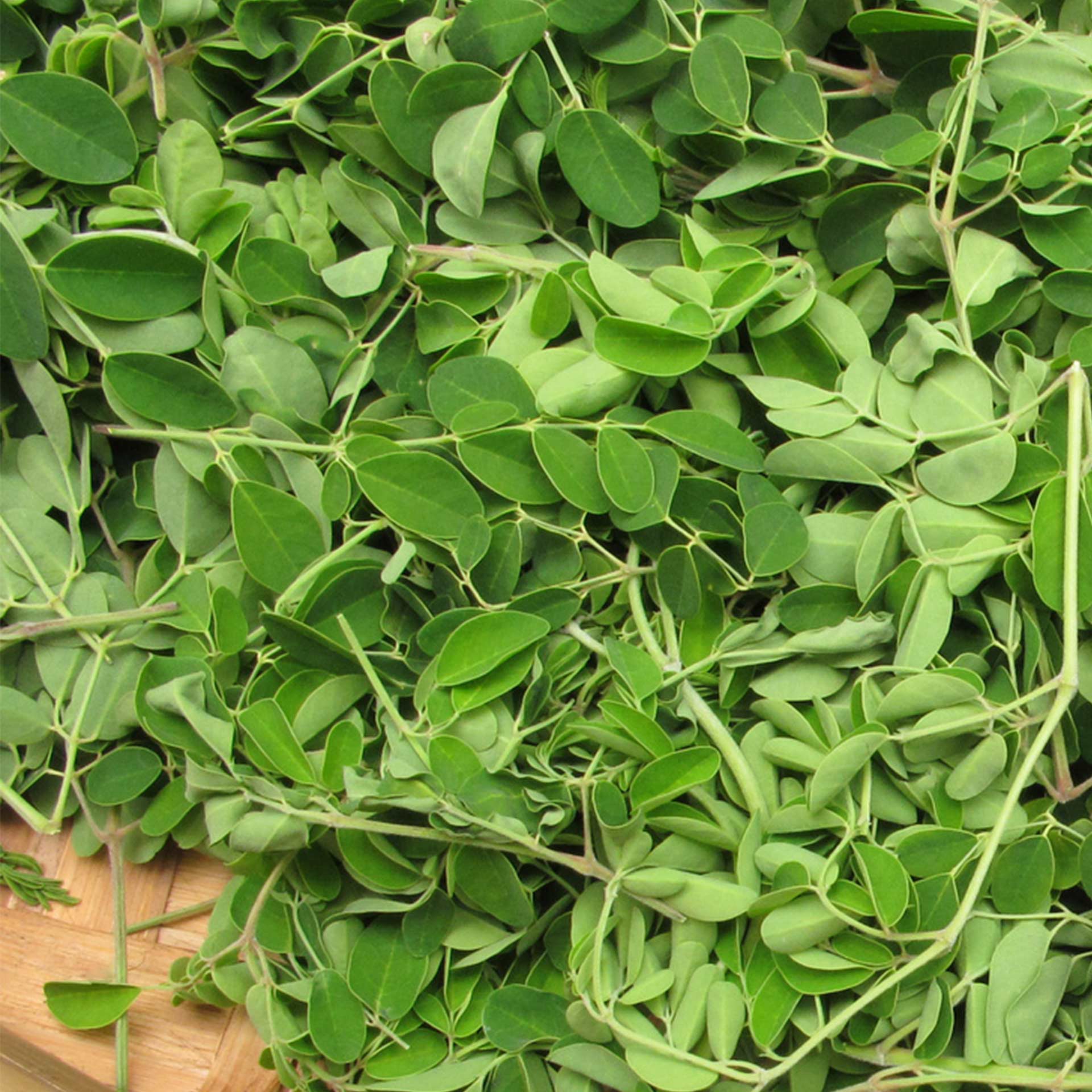 Moringa Pulver, bio 200 g