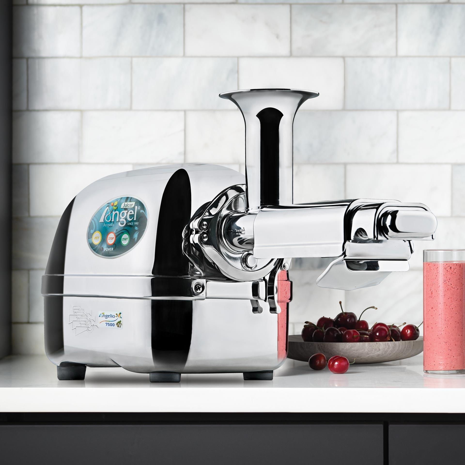 Angel Juicer 7500 online kaufen im Keimling Shop