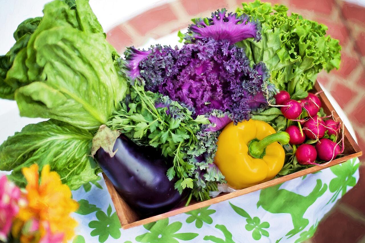 Ernährung, Bewegung und Co.: Was gehört zu einem gesunden Lebenswandel?