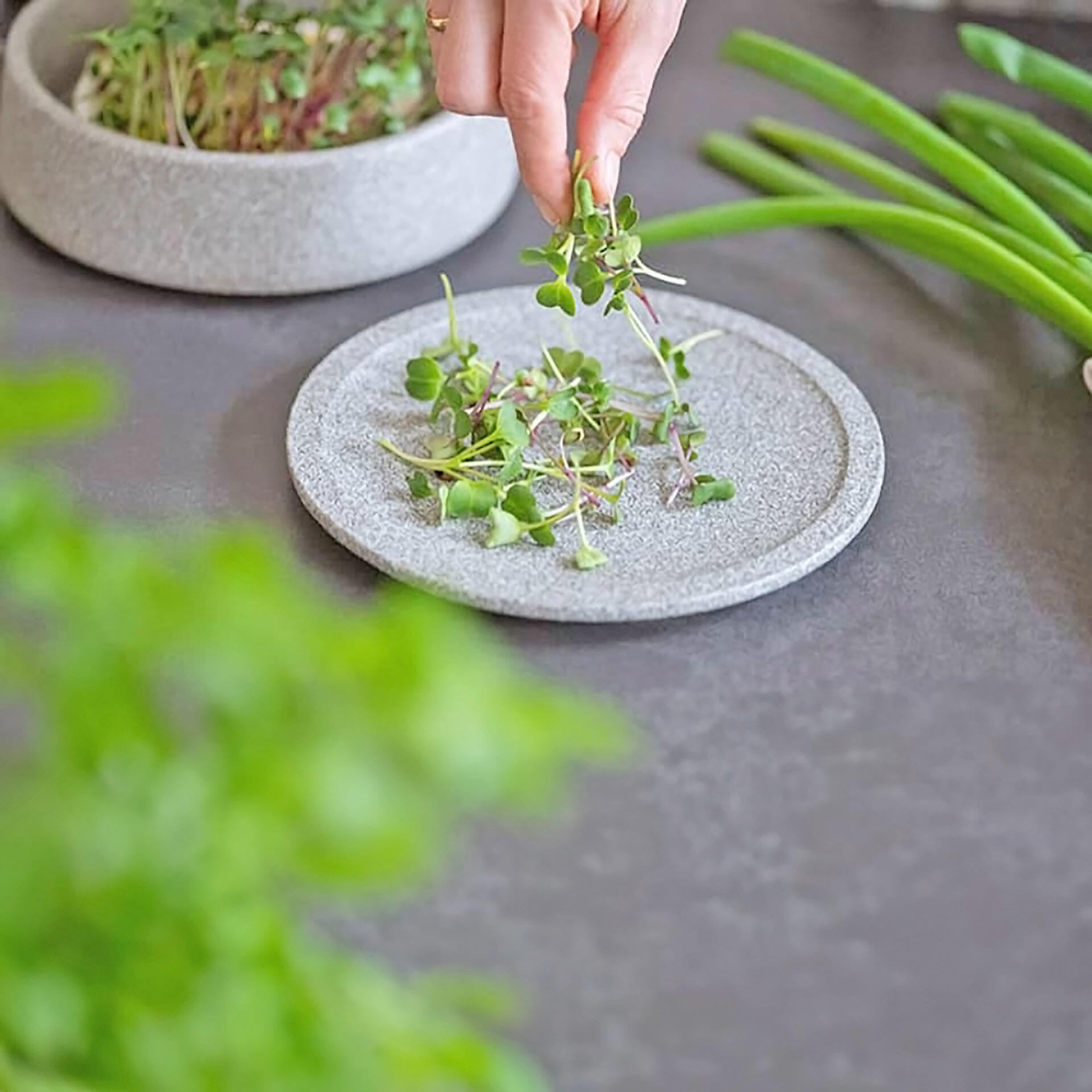 Ernteteller Granicium® von DENK