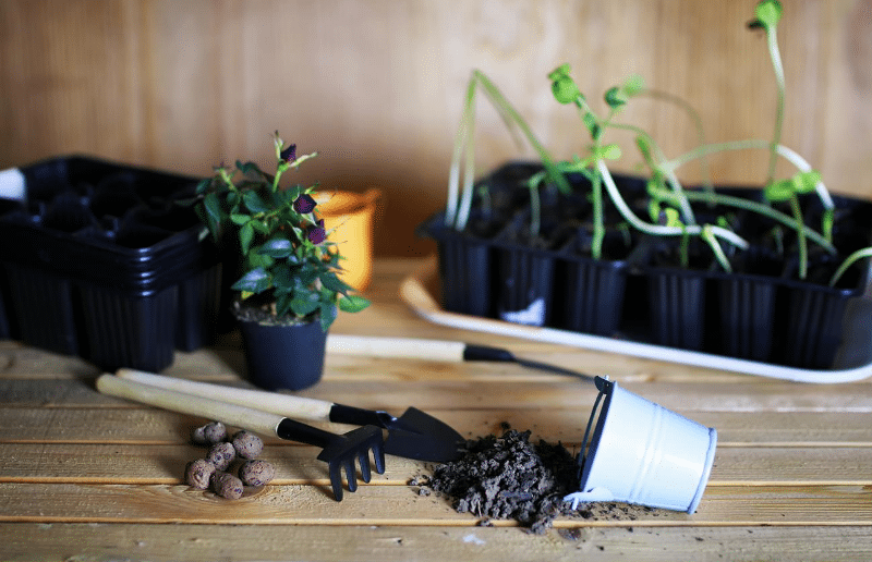 Mehrere kleine Pflanzgefäße mit Keimlingen und junge Pflanzen stehen auf einer Holzoberfläche. Kleine Gartenwerkzeuge liegen daneben, ebenso Erde und ein umgefallener weißer Eimer.