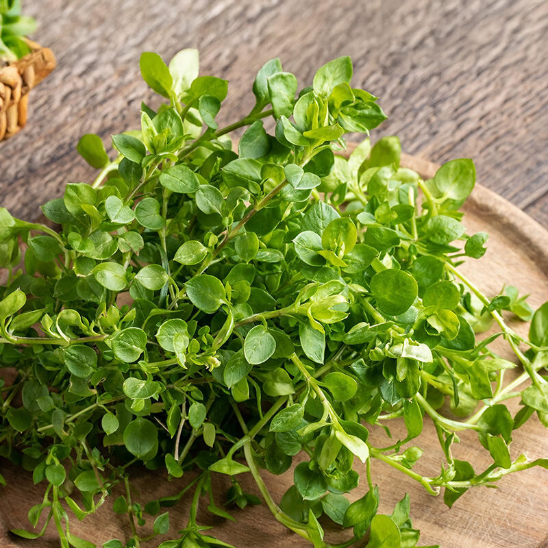 Wildkräutersalat: Natur pur auf dem Teller