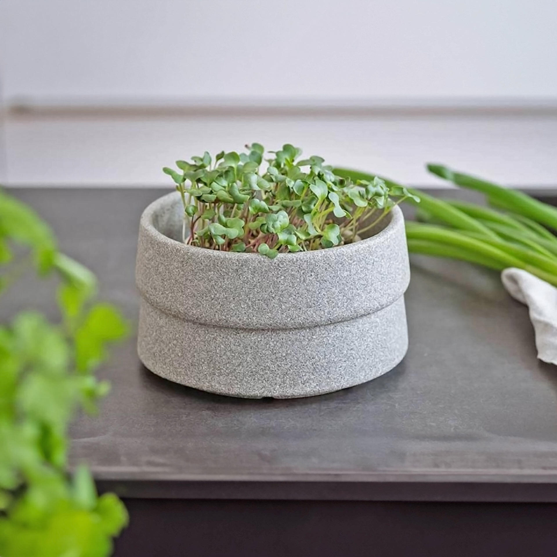 Mikrogarten Granicium Pflanzstation     