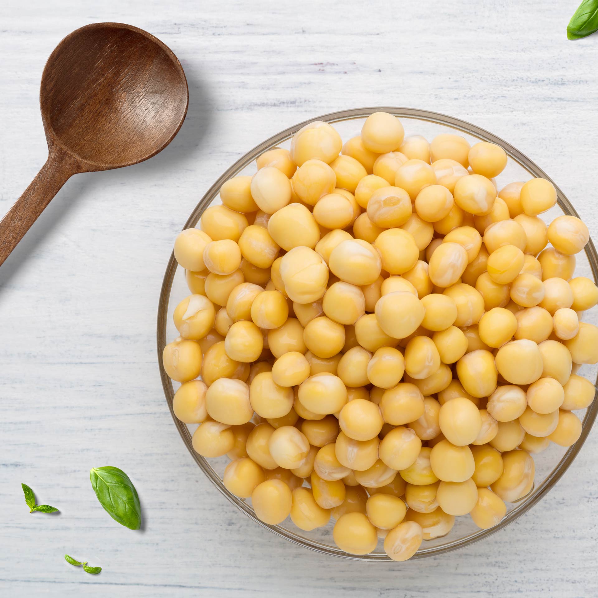 Erbsenprotein Pulver, bio 500 g