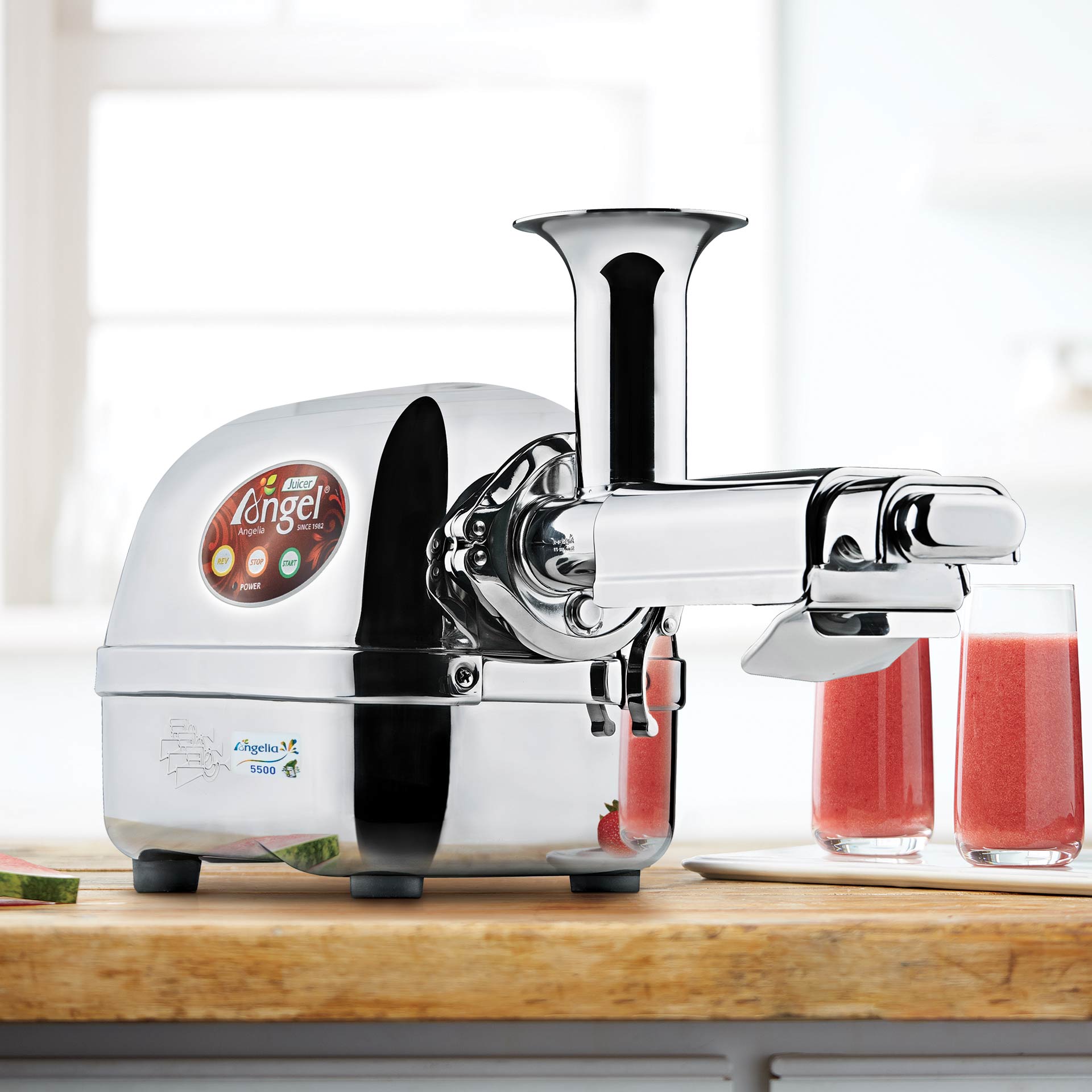 Angel Juicer 5500 mit Schweizer Stecker Angel Juicer 5500 mit Schweizer Stecker
