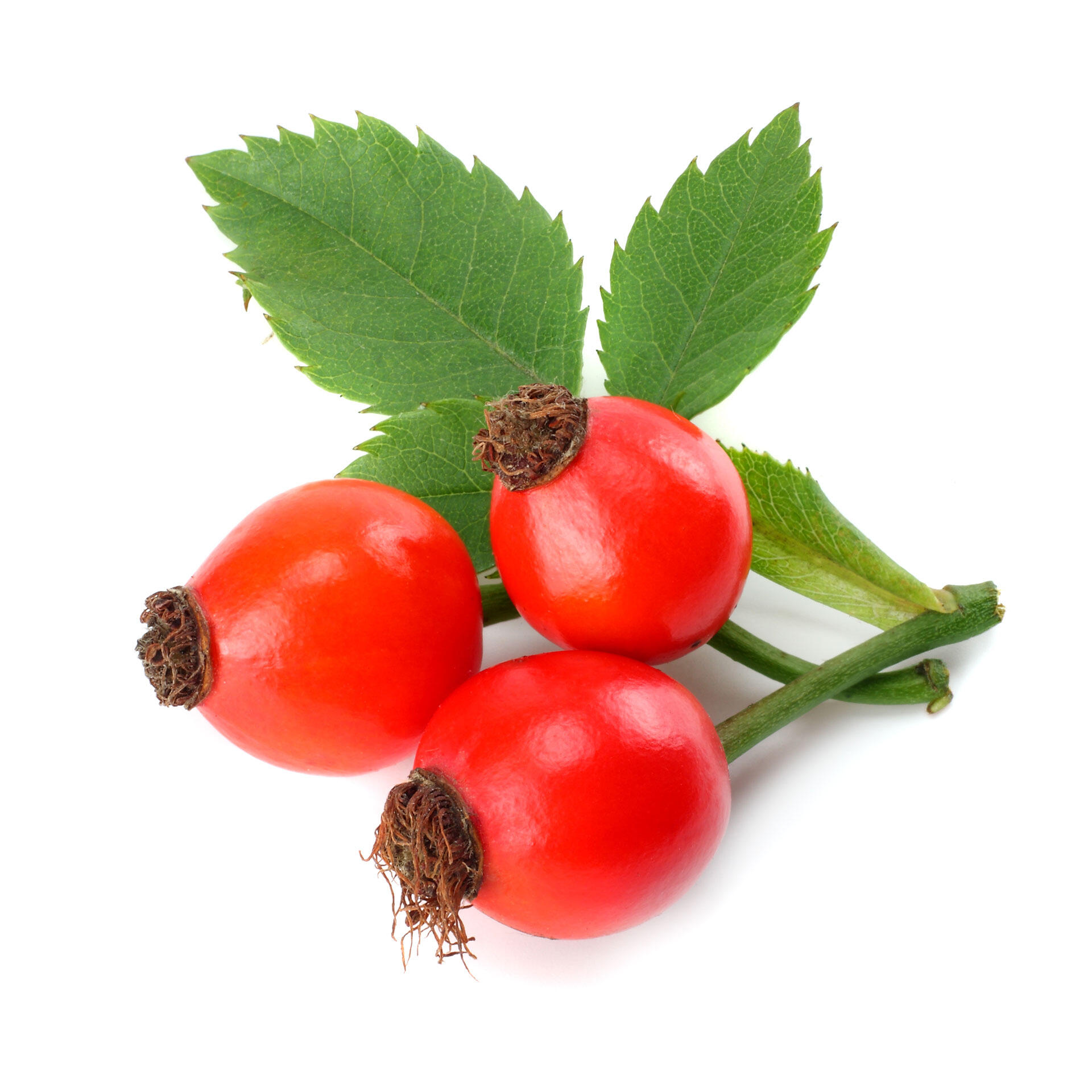 Hagebuttenpulver, bio 200 g Hagebuttenpulver, bio 200 g