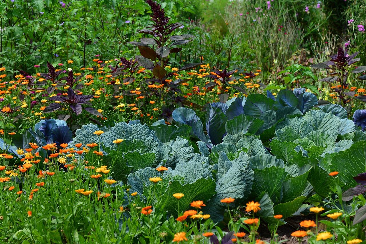 Mehr Zeit im Garten verbringen – wie Gartenarbeit zu einem Trend-Lifestyle geworden ist!